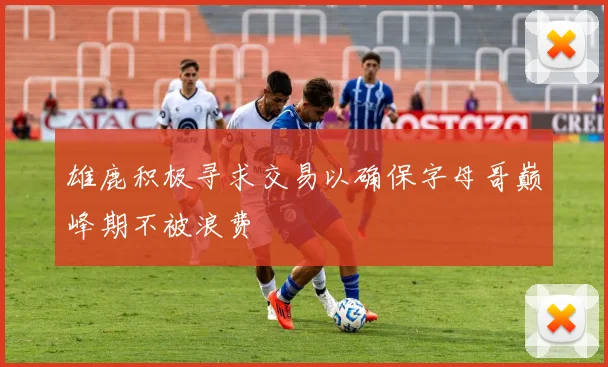 雄鹿积极寻求交易以确保字母哥巅峰期不被浪费