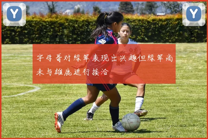字母哥对绿军表现出兴趣但绿军尚未与雄鹿进行接洽